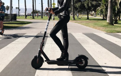 Bird and Lime-S Electric Scooters: the Latest Craze or Newest Hazard?